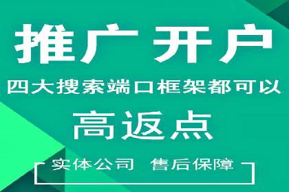 信息流广告的精准定位与效果优化案例分析