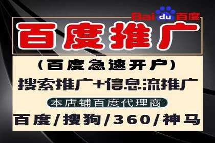 关键词竞价排名实战案例精选解析